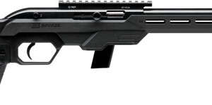 SAVAGE 64 PRECISION 22LR 10RD - 16.5" HB SYNTHETIC CHASSIS BLK