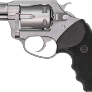 CHARTER ARMS PATHFINDER 22LR - 2" S/S
