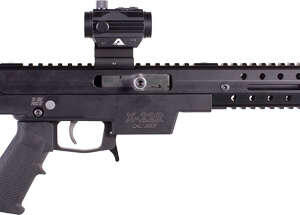 EXCEL X22R RIFLE 22LR 10RD - 16" BLACK WITH RED DOT SIGHT