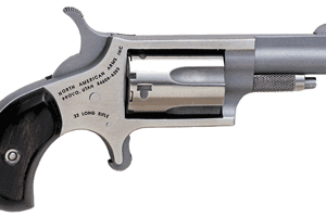 NAA MINI-REVOLVER 22LR 1-5/8" - STAINLESS MATTE WOOD
