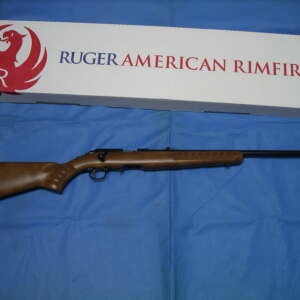 Ruger American Rimfire