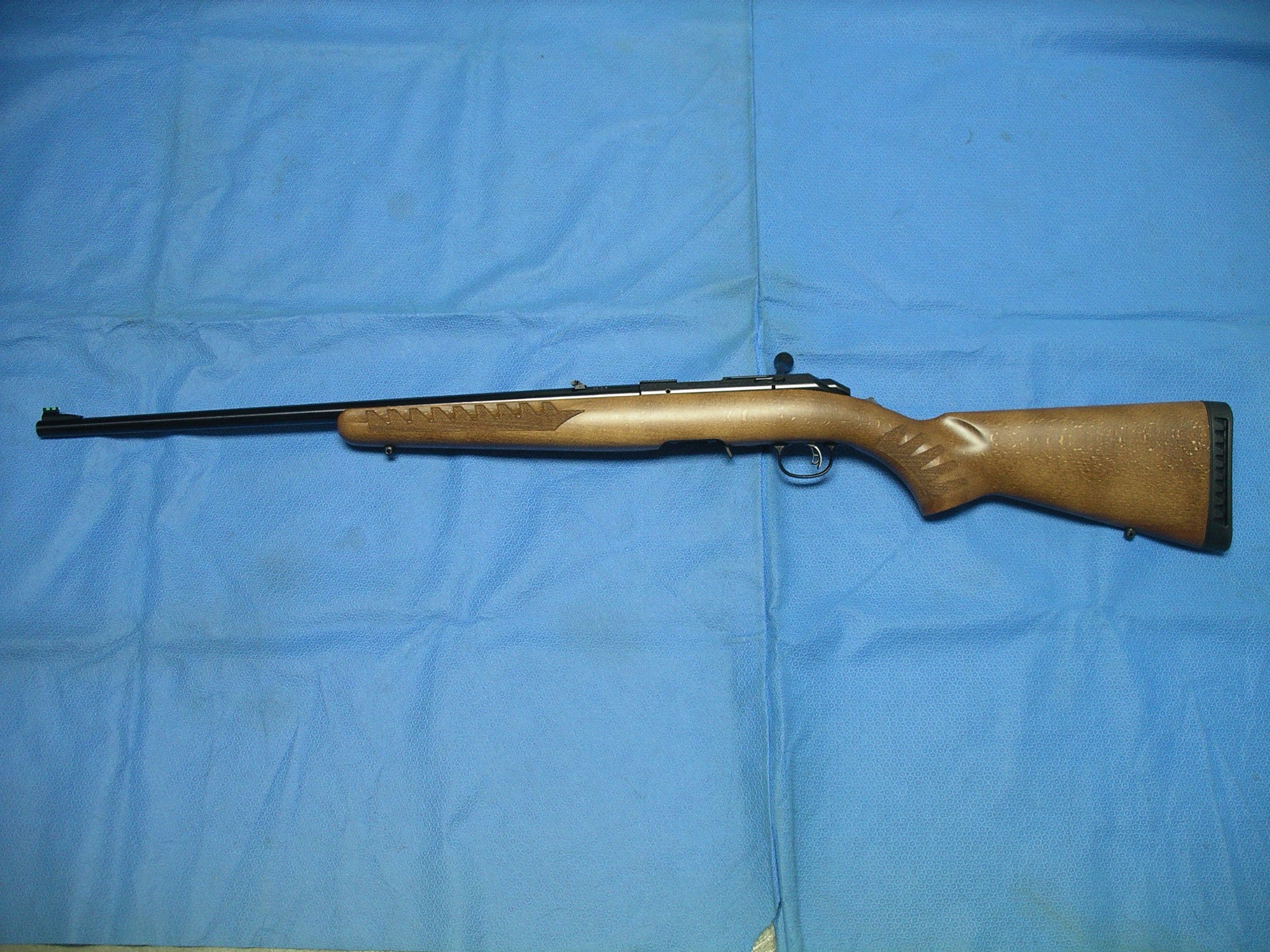 Ruger American Rimfire