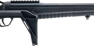 ROSSI SINGLE SHOT 5.56X45 - 16.5" BLACK FOLDING STOCK