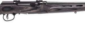 SAVAGE A17 17HMR HVY BBL 22" - ACCU TGR BLU/GRY LAM T-HOLE