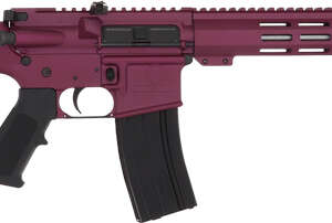 GLFA AR15 RIFLE 223 WYLDE - 16" S/S BBL BLACK CHERRY