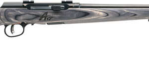 SAVAGE A17 17HMR SPORTER 22" - ACCU TGR BLU/GRY LAM SPORTER