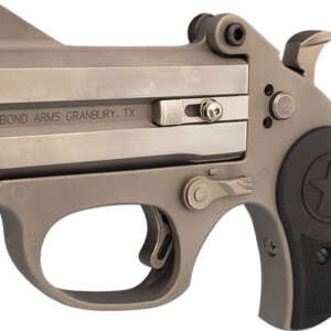 BOND ARMS STINGER RS 22LR - 3" MATTES SS NYLON GRIP