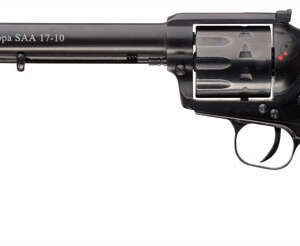 CHIAPPA SAA17-10 17HMR - 7.5" AS 10RD BLACK MATTE