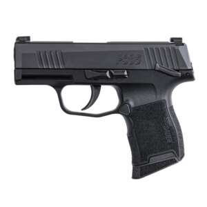 SIG SAUER P365 380ACP BLK 10+1 NS MS MA