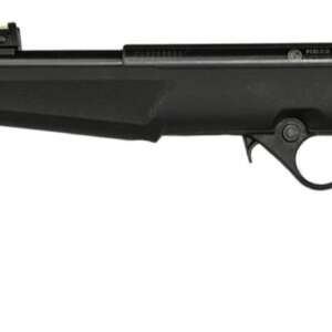 ROSSI RB22 22LR BLK/SYN FLAG 16.5" #