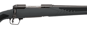 SAVAGE ARMS 110 HUNTER 300WIN BL/SYN     #
