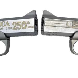 BOND ARMS 250TH REDNECK 45-70 SS 4.25"
