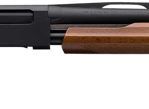Winchester Repeating Arms 512367601 SXP Field Youth 20 Gauge 18" 5+1 3" Matte Black Rec/Barrel Satin Walnut Stock Right Hand Includes 3 Invector-Plus Chokes