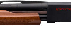 Winchester Repeating Arms 512367602 SXP Field Youth 20 Gauge 20" 5+1 3" Matte Black Rec/Barrel Satin Walnut Stock Right Hand Includes 3 Invector-Plus Chokes