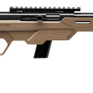 Savage Arms 45124 64 Precision 22 LR Caliber with 10+1 Capacity, 16.50" Threaded Barrel, Matte Black Metal Finish & Chassis Flat Dark Earth Synthetic Stock Right Hand (Full Size)