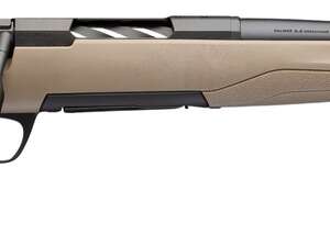 BRN 036119211 XB2 WHNT SPL SPR FDE,243      18