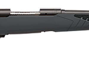 Savage Arms 57061 110 Hunter Full Size 223 Rem 4+1 22" Matte Black Button-Rifled Barrel, Matte Black Drilled & Tapped Carbon Steel Receiver, Adj AccuStock Matte Gray Synthetic Stock, Right Hand