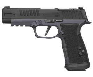 SIG P365AXG FUSE 9MM 21RD BLK/GRY
