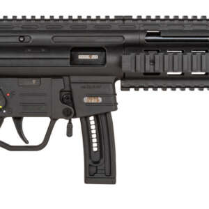 GSG GSGGERGGSG1610 GSG-16 *CA Compliant Full Size 22 LR 10+1 16.25" Black Black Polymer Receiver Black Collapsible w/Storage Compartment Stock Right Hand