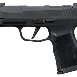 Sig Sauer 365XL380COMPMS P365XL  380 ACP 12+1 3.10" Black Ported Barrel, Black Nitron Stainless Steel Optic Cut/Ported/Serrated Slide, Black Stainless Steel Frame w/Picatinny Rail, Textured Grip, SIG-