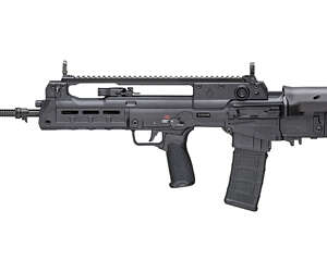 SPRGFLD HELLION 556 20" 30RD BLK