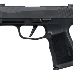 Sig Sauer 365XL380COMP10 P365XL 380 ACP 10+1 3.10" Black Ported Barrel, Black Nitron Stainless Steel Optic Cut/Ported/Serrated Slide, Black Stainless Steel Frame w/Picatinny Rail, Textured Grip, SIG-L