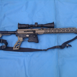 AR Style rifle 