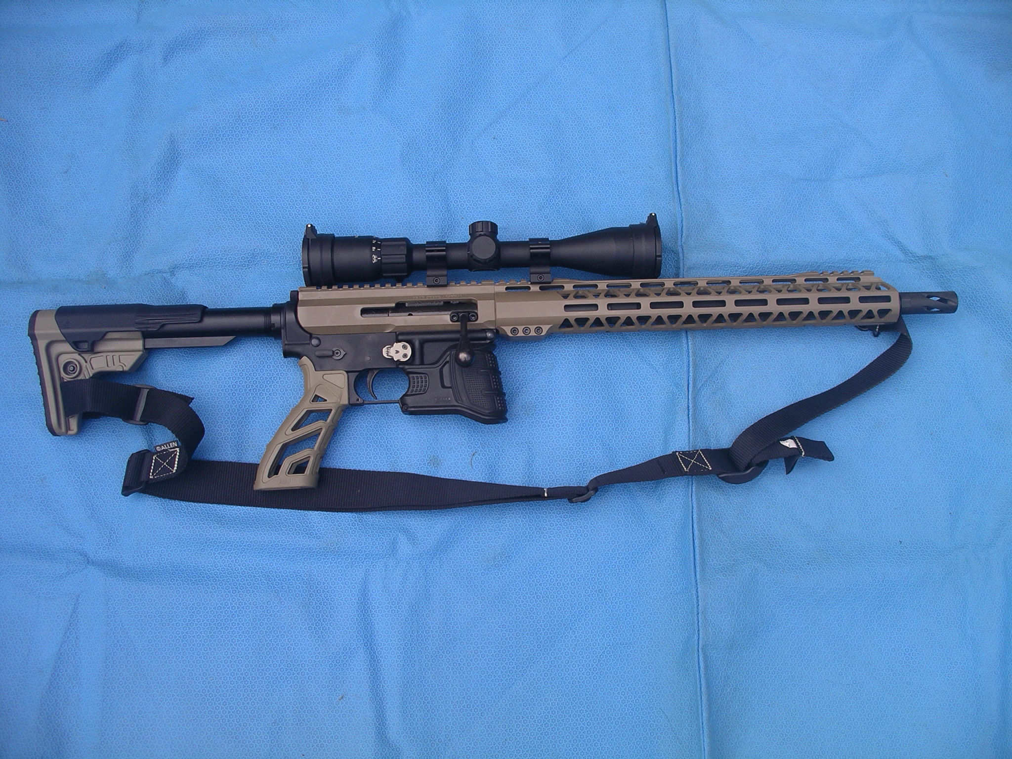 AR Style rifle