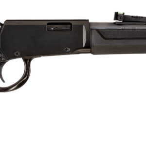 ROSSI RIO BRAVO 22WMR BK/SY 20"    #